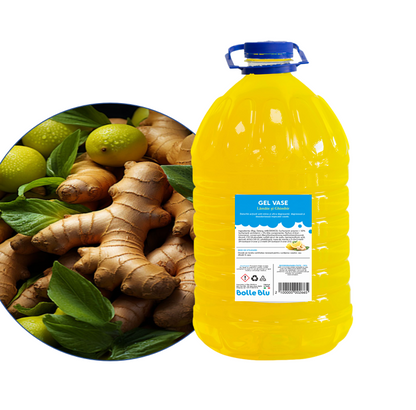 Lămâie & Ghimbir – Detergent manual pentru vase