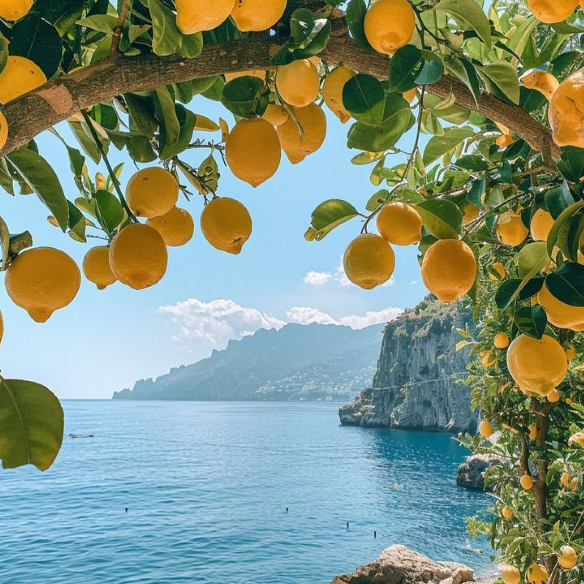 Testat dermatologic - Positano Gel de Dus